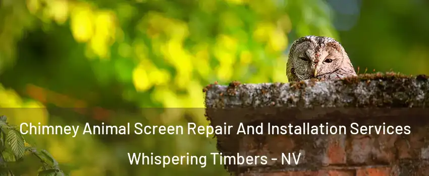 Chimney Animal Screen Repair And Installation Services Whispering Timbers - NV