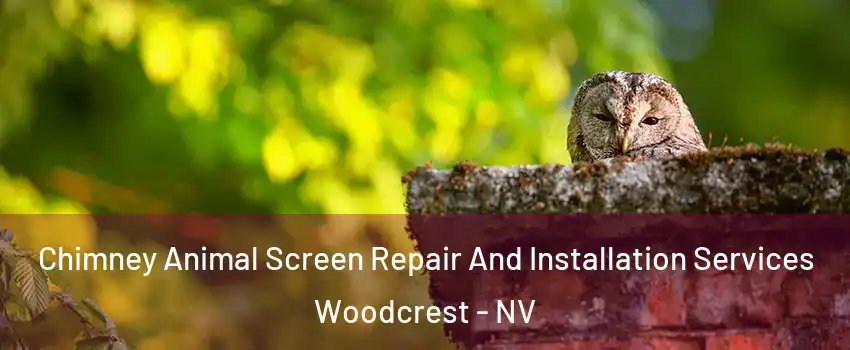 Chimney Animal Screen Repair And Installation Services Woodcrest - NV