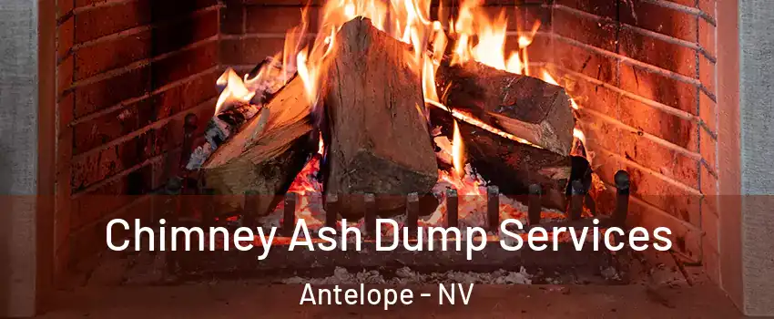 Chimney Ash Dump Services Antelope - NV