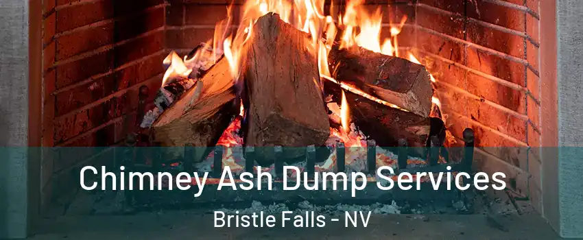 Chimney Ash Dump Services Bristle Falls - NV