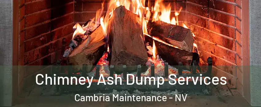 Chimney Ash Dump Services Cambria Maintenance - NV