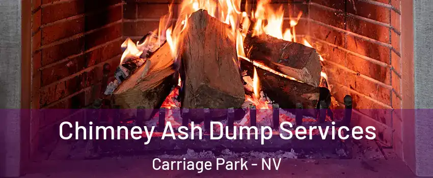 Chimney Ash Dump Services Carriage Park - NV