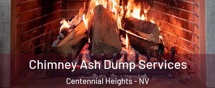 Chimney Ash Dump Services Centennial Heights - NV