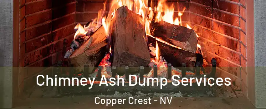 Chimney Ash Dump Services Copper Crest - NV