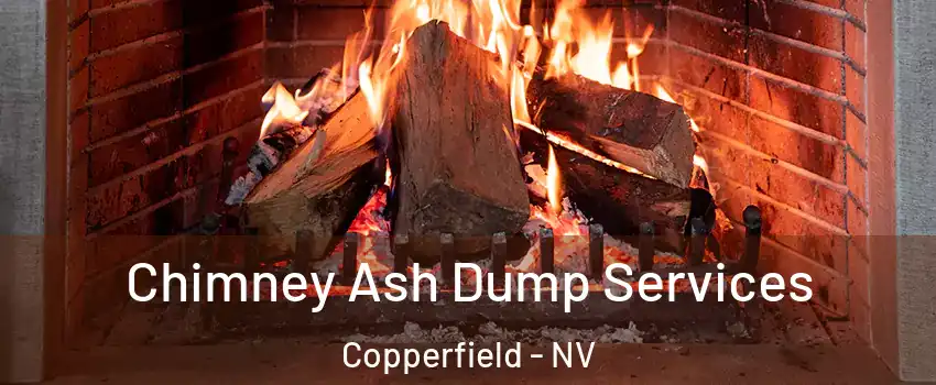Chimney Ash Dump Services Copperfield - NV
