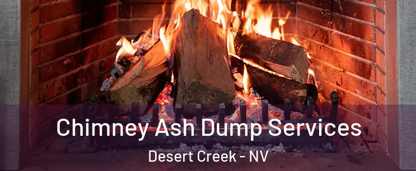 Chimney Ash Dump Services Desert Creek - NV