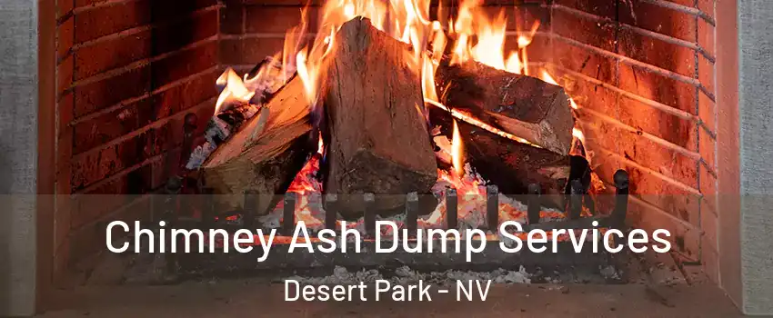 Chimney Ash Dump Services Desert Park - NV