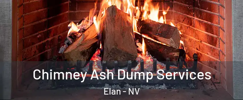 Chimney Ash Dump Services Elan - NV