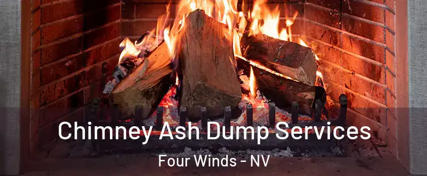 Chimney Ash Dump Services Four Winds - NV