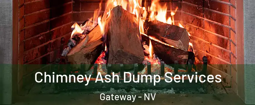 Chimney Ash Dump Services Gateway - NV
