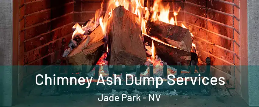 Chimney Ash Dump Services Jade Park - NV