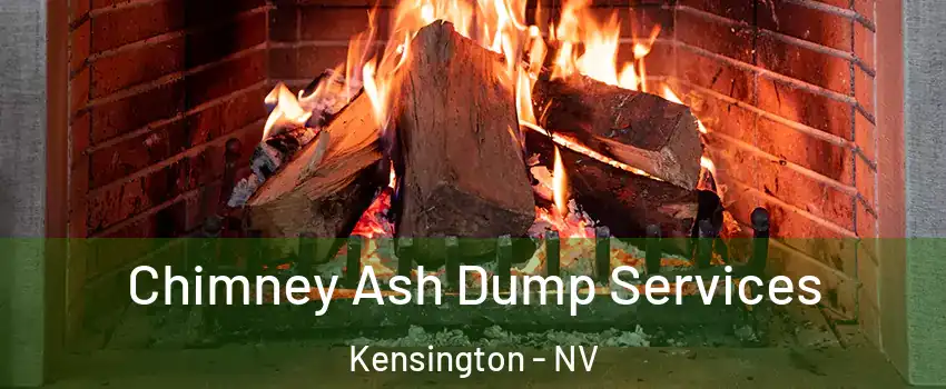 Chimney Ash Dump Services Kensington - NV