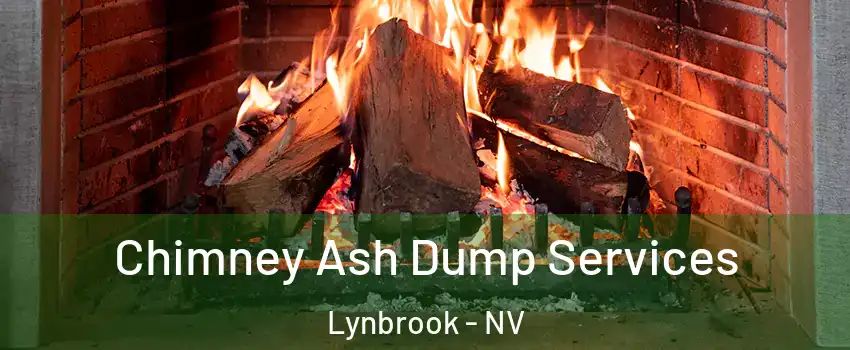 Chimney Ash Dump Services Lynbrook - NV