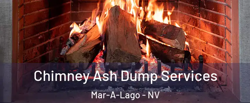 Chimney Ash Dump Services Mar-A-Lago - NV