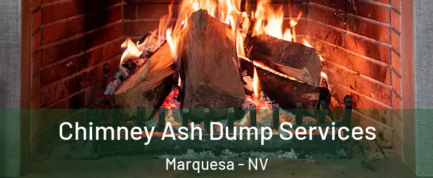 Chimney Ash Dump Services Marquesa - NV