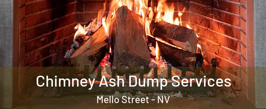 Chimney Ash Dump Services Mello Street - NV