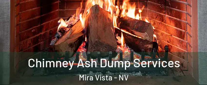 Chimney Ash Dump Services Mira Vista - NV