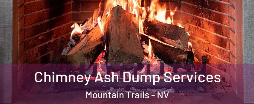 Chimney Ash Dump Services Mountain Trails - NV