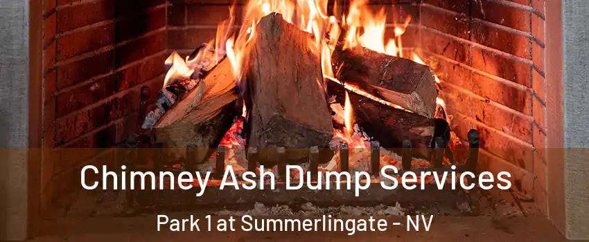 Chimney Ash Dump Services Park 1 at Summerlingate - NV