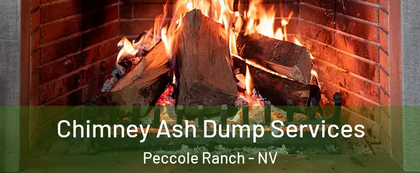 Chimney Ash Dump Services Peccole Ranch - NV