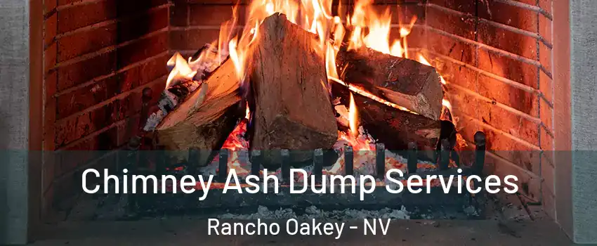 Chimney Ash Dump Services Rancho Oakey - NV