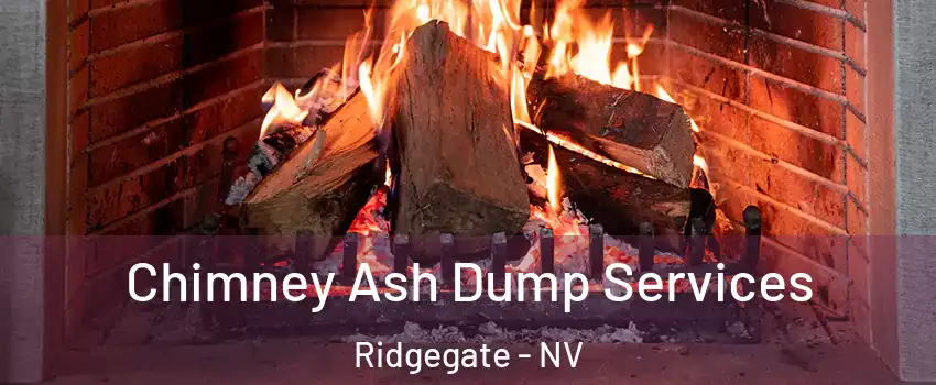 Chimney Ash Dump Services Ridgegate - NV
