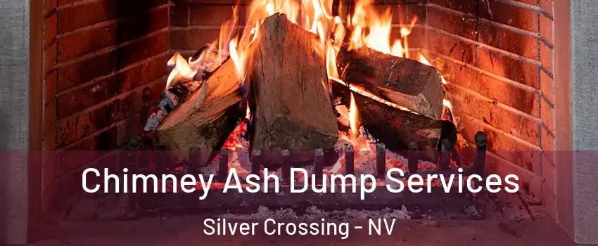 Chimney Ash Dump Services Silver Crossing - NV