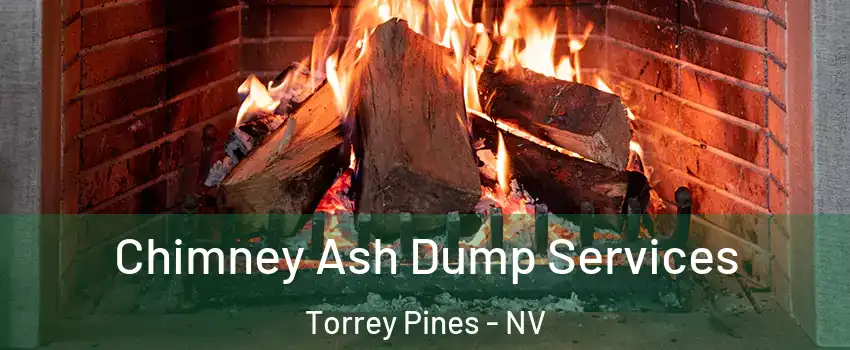 Chimney Ash Dump Services Torrey Pines - NV