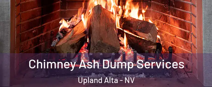 Chimney Ash Dump Services Upland Alta - NV