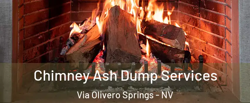 Chimney Ash Dump Services Via Olivero Springs - NV