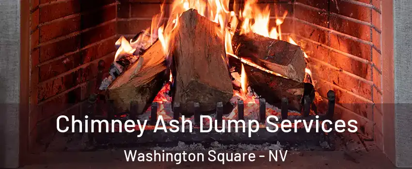 Chimney Ash Dump Services Washington Square - NV