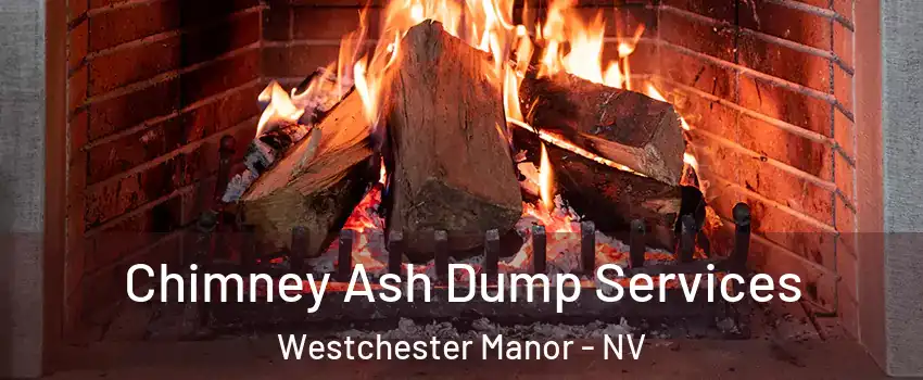 Chimney Ash Dump Services Westchester Manor - NV