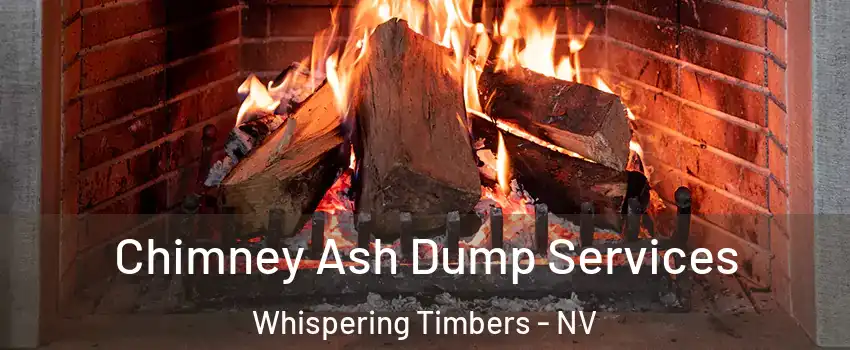 Chimney Ash Dump Services Whispering Timbers - NV