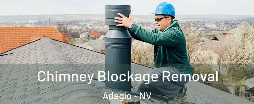 Chimney Blockage Removal Adagio - NV