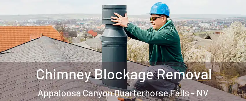 Chimney Blockage Removal Appaloosa Canyon Quarterhorse Falls - NV