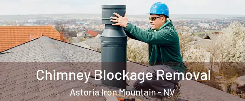 Chimney Blockage Removal Astoria Iron Mountain - NV