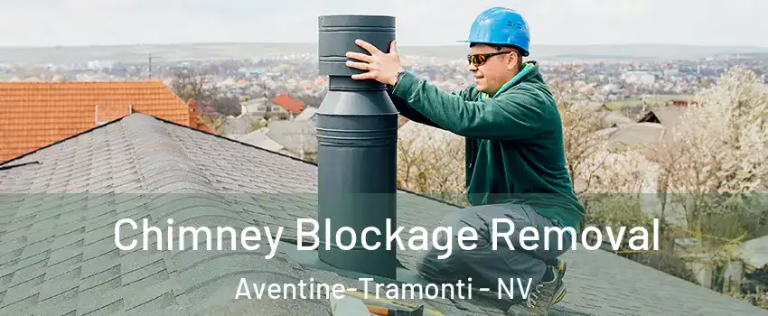 Chimney Blockage Removal Aventine-Tramonti - NV