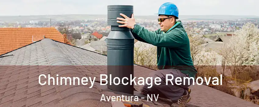 Chimney Blockage Removal Aventura - NV