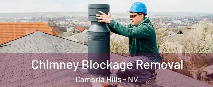 Chimney Blockage Removal Cambria Hills - NV