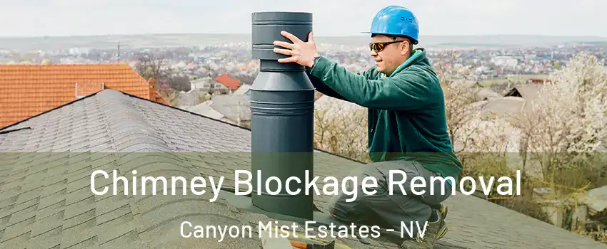 Chimney Blockage Removal Canyon Mist Estates - NV