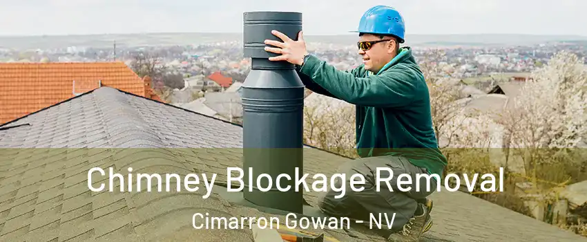Chimney Blockage Removal Cimarron Gowan - NV