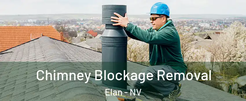 Chimney Blockage Removal Elan - NV