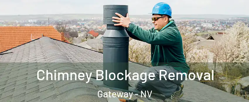 Chimney Blockage Removal Gateway - NV