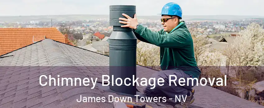 Chimney Blockage Removal James Down Towers - NV