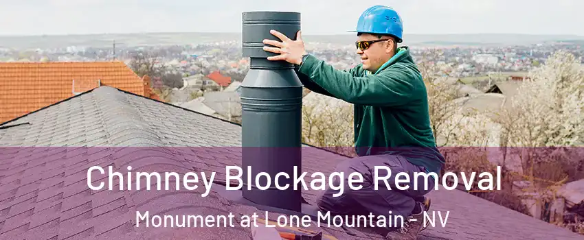 Chimney Blockage Removal Monument at Lone Mountain - NV