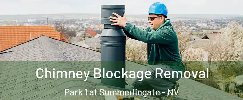Chimney Blockage Removal Park 1 at Summerlingate - NV