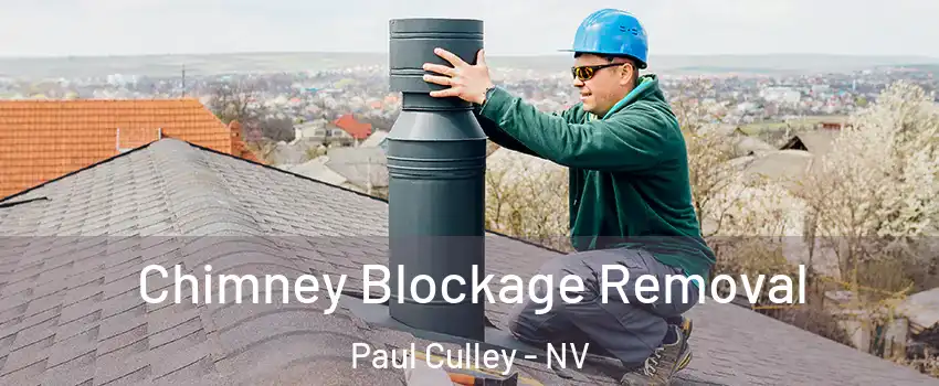 Chimney Blockage Removal Paul Culley - NV
