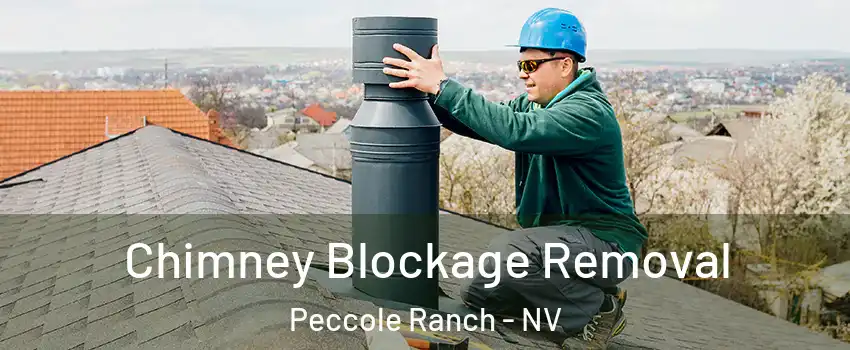 Chimney Blockage Removal Peccole Ranch - NV