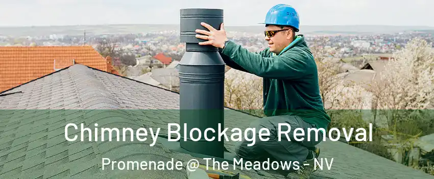 Chimney Blockage Removal Promenade @ The Meadows - NV