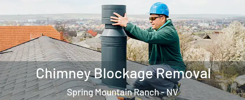 Chimney Blockage Removal Spring Mountain Ranch - NV